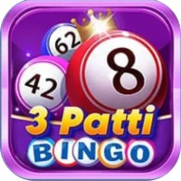 3 patti bingo